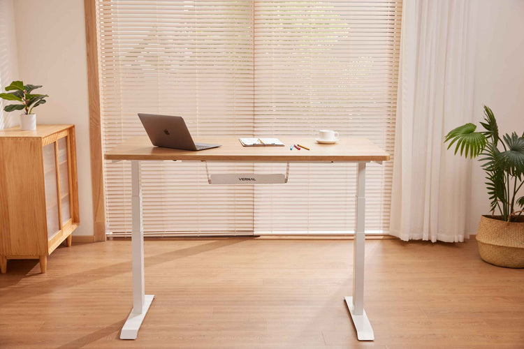 昇降式デスク 電動 電動昇降デスク 電動式昇降デスク 昇降デスク 電動 電動昇降式デスク